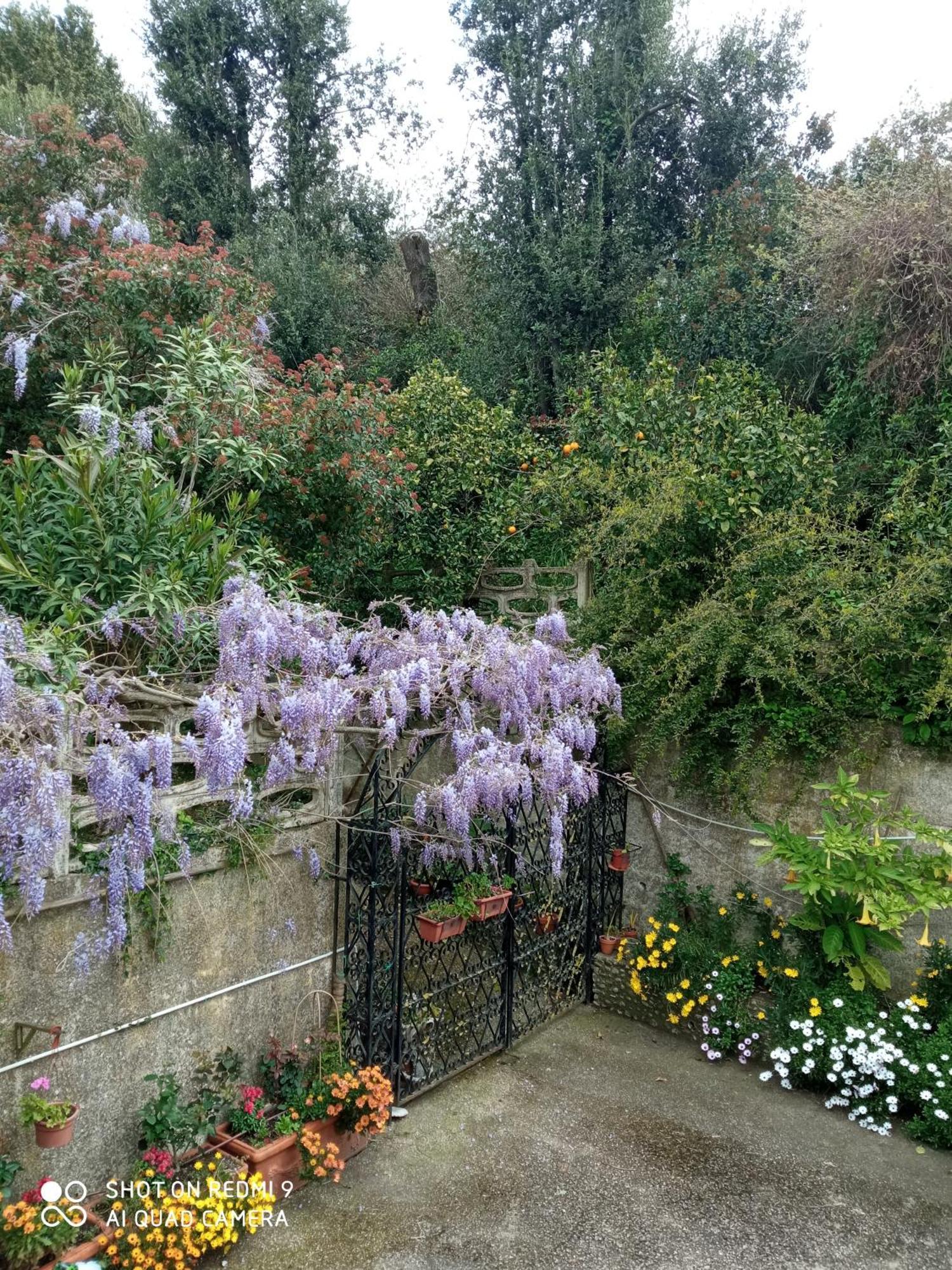 Belvedere Di Caiazzo Екстер'єр фото