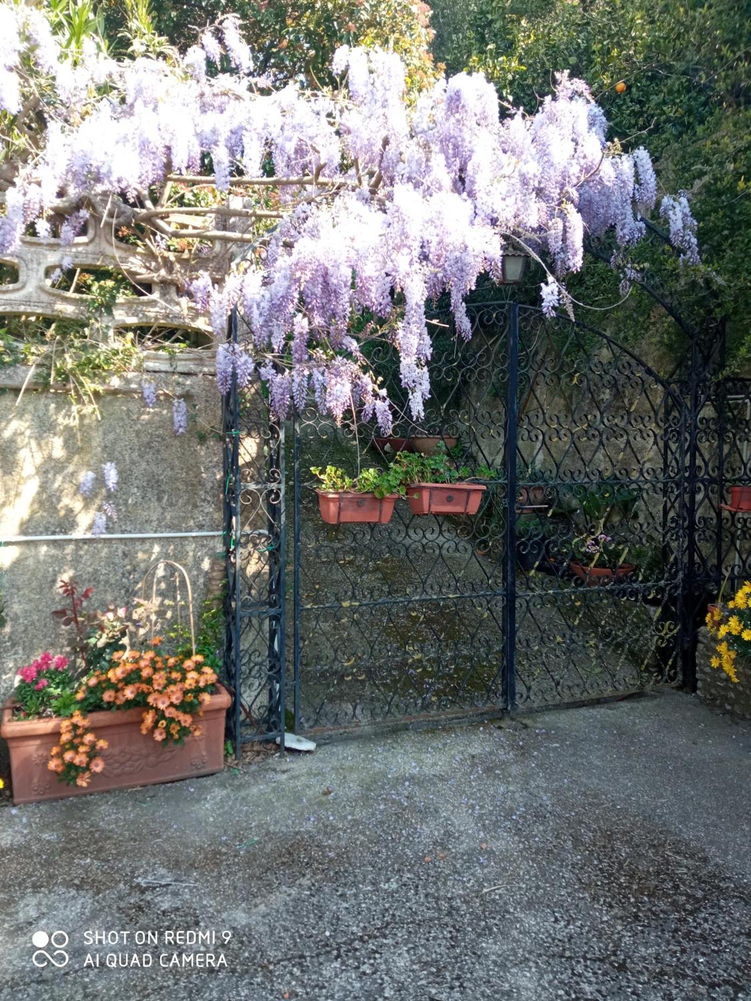 Belvedere Di Caiazzo Екстер'єр фото