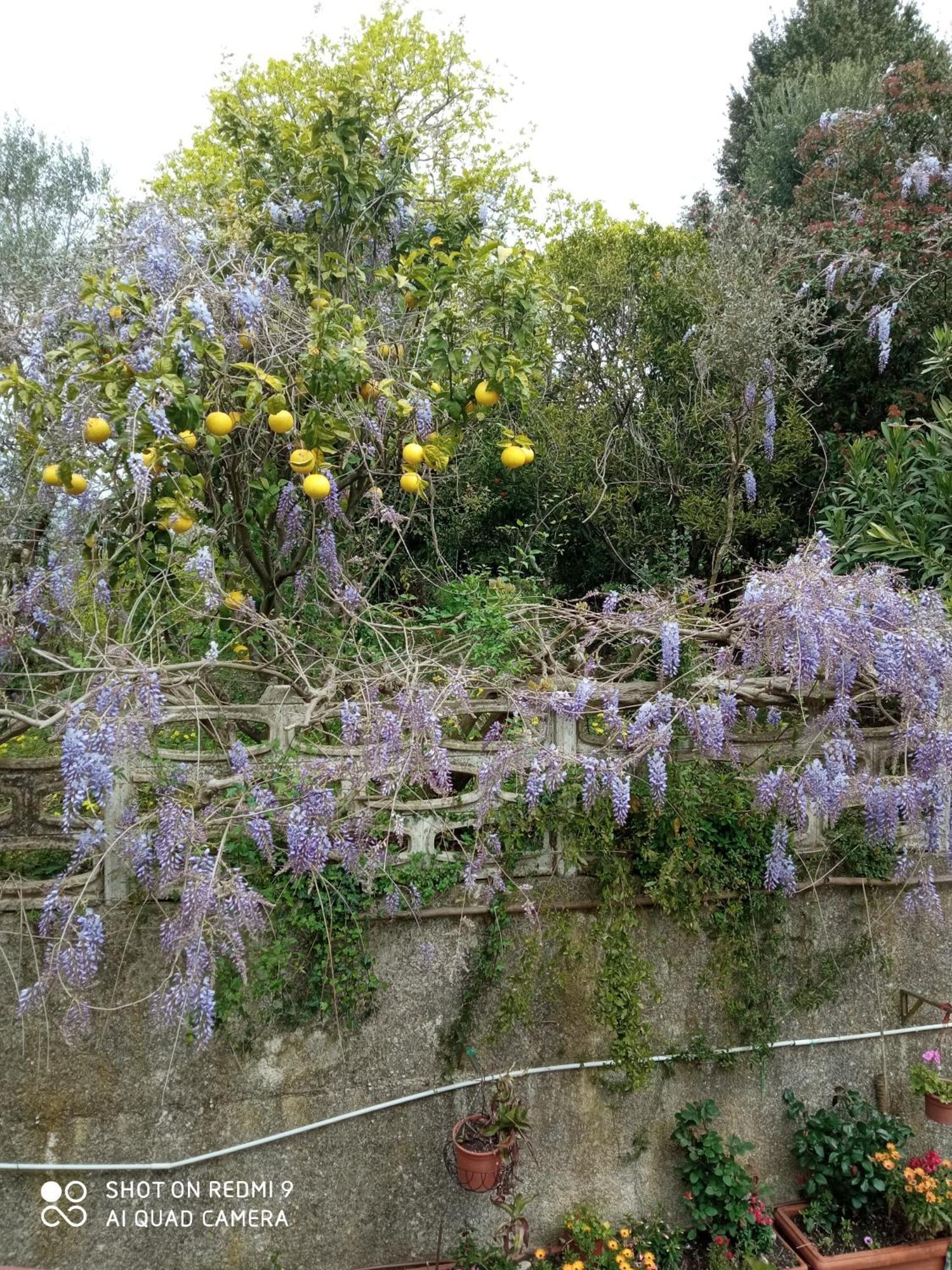 Belvedere Di Caiazzo Екстер'єр фото